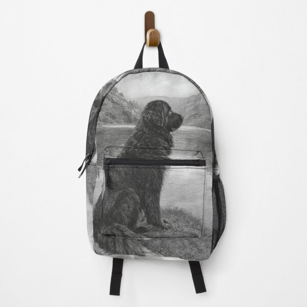 Item preview, A calm Newfoundland sitting beside a reflective lake, Dogs in Motion designed and sold by CDC40.