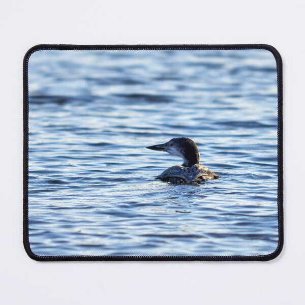 Item preview, Winterdress. Great northern diver designed and sold by Jouko Lehto Photography.