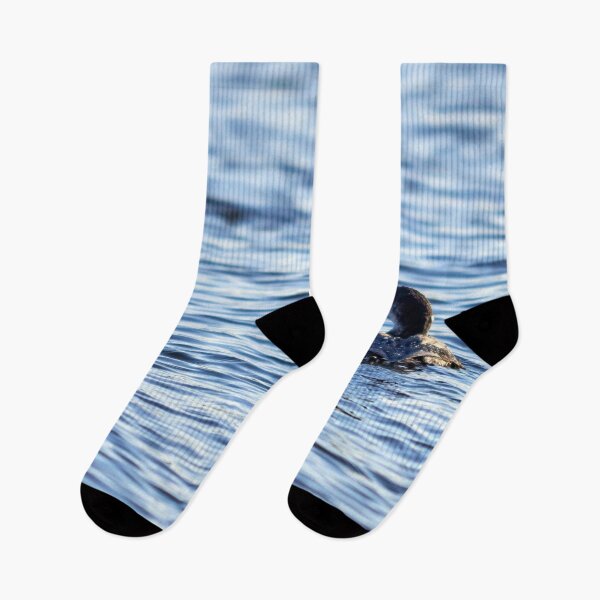 Item preview, Winterdress. Great northern diver designed and sold by Jouko Lehto Photography.