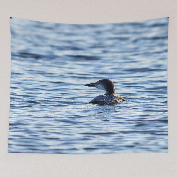 Item preview, Winterdress. Great northern diver designed and sold by Jouko Lehto Photography.