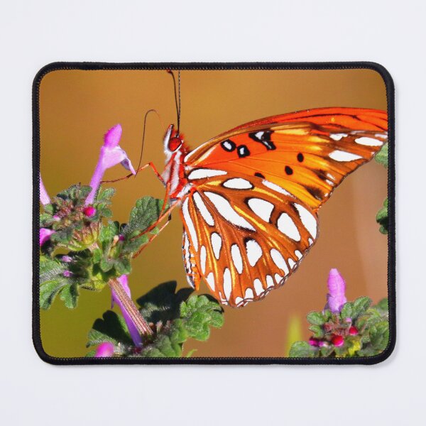 Item preview, Gulf fritillary designed and sold by Parks and X.
