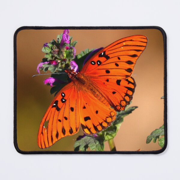 Item preview, Gulf Fritillary designed and sold by Parks and X.