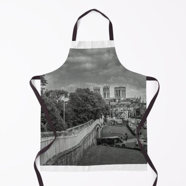 Item preview, York Minster from the City Walls designed and sold by RJW Images.