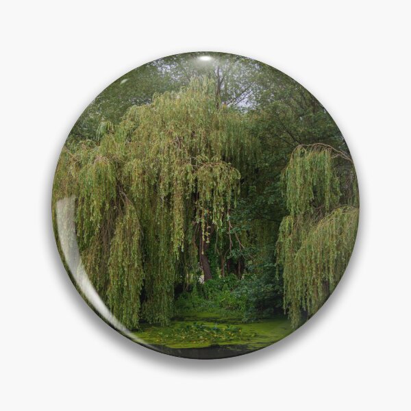 Item preview, Weeping Willow designed and sold by RJW Images.