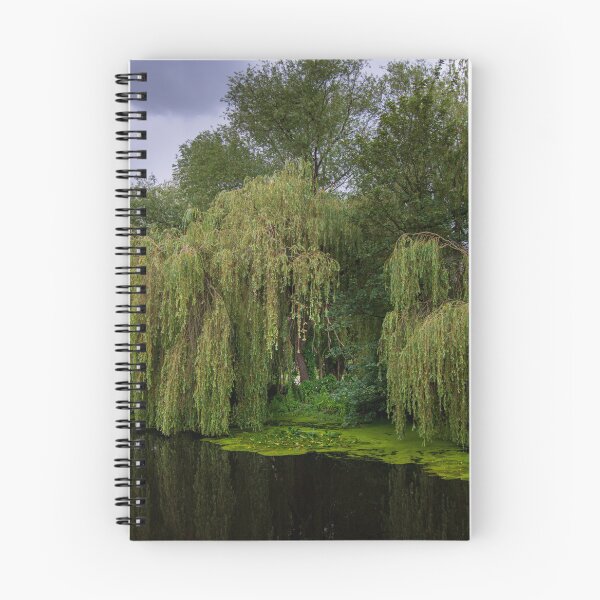 Item preview, Weeping Willow designed and sold by RJW Images.