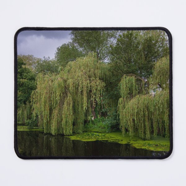 Item preview, Weeping Willow designed and sold by RJW Images.
