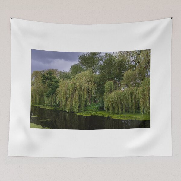 Item preview, Weeping Willow designed and sold by RJW Images.