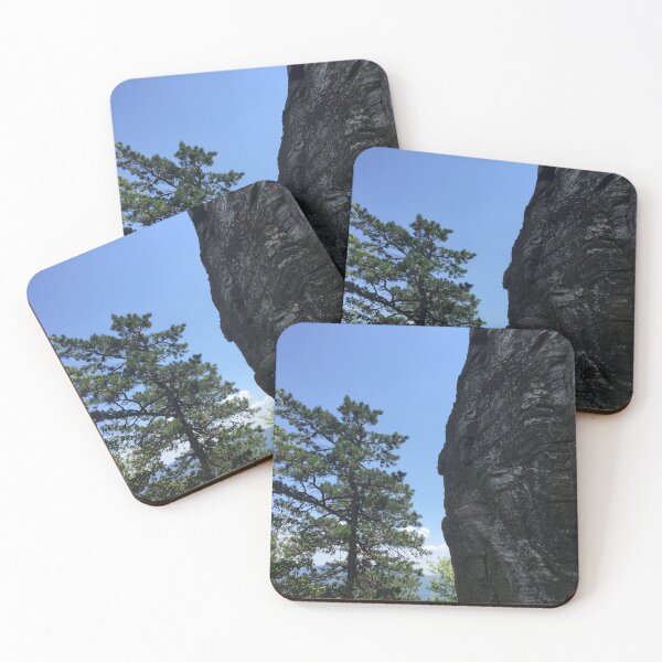 Item preview, Pilot Mountain State Park, North Carolina tree next to rock designed and sold by landscape-photos.