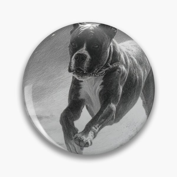 Item preview, A Boxer captured mid-run on a sandy beach, Dogs in Motion designed and sold by CDC40.