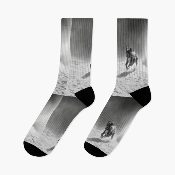 Item preview, A Boxer captured mid-run on a sandy beach, Dogs in Motion designed and sold by CDC40.
