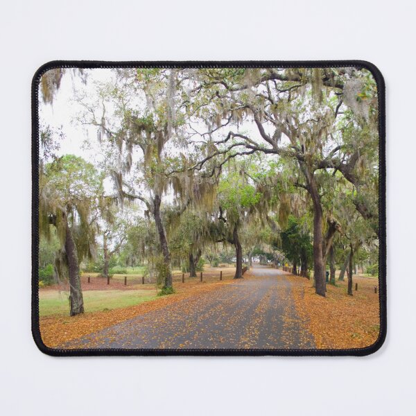 Item preview, Drive to the Beach designed and sold by Richard Nix.