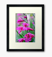 Beautifully Pink at Dusk Framed Print