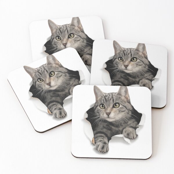 Item preview, kitten 2 designed and sold by Li. Images of everything.
