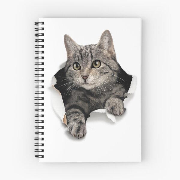 Item preview, kitten 2 designed and sold by Li. Images of everything.
