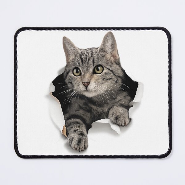 Item preview, kitten 2 designed and sold by Li. Images of everything.