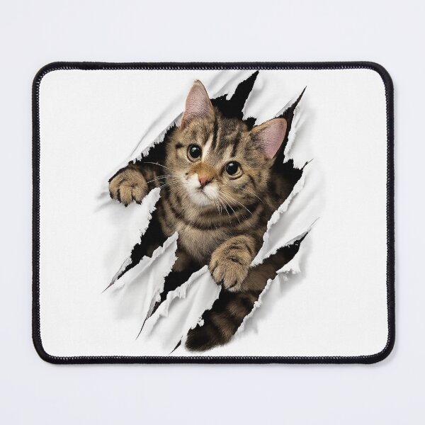 Item preview, kitten 3 designed and sold by Lizandro  Serrano Pacheco.