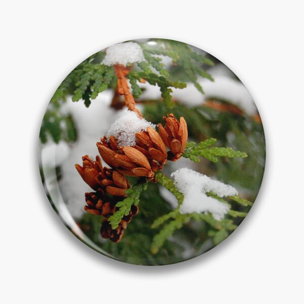 Item preview, Arborvitae Winter Memories designed and sold by vanessaNotes.