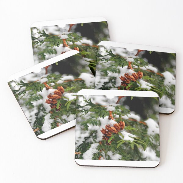 Item preview, Arborvitae Winter Memories designed and sold by vanessaNotes.