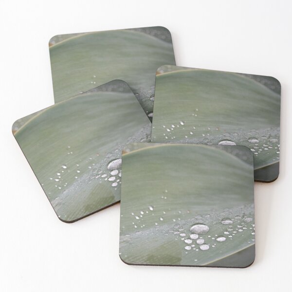 Item preview, Raindrops in the garden designed and sold by Douglas E. Welch Design and Photography.