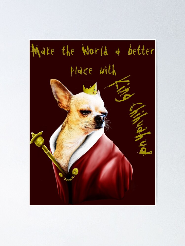 king chihuahua