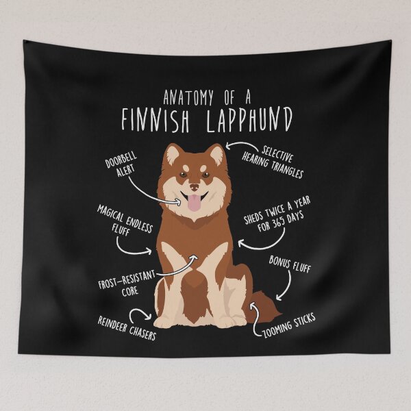 Item preview, Brown Finnish Lapphund Dog Anatomy designed and sold by Clara Hollins.