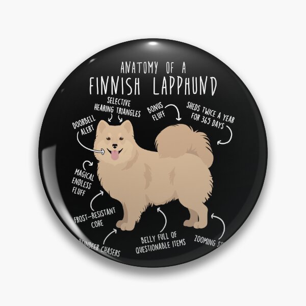 Item preview, Cream Finnish Lapphund Dog Anatomy designed and sold by Clara Hollins.