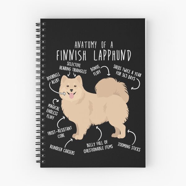 Item preview, Cream Finnish Lapphund Dog Anatomy designed and sold by Clara Hollins.