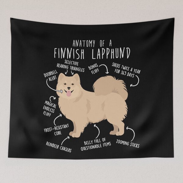 Item preview, Cream Finnish Lapphund Dog Anatomy designed and sold by Clara Hollins.
