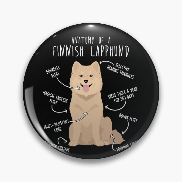 Item preview, Cream Finnish Lapphund Dog Anatomy designed and sold by Clara Hollins.