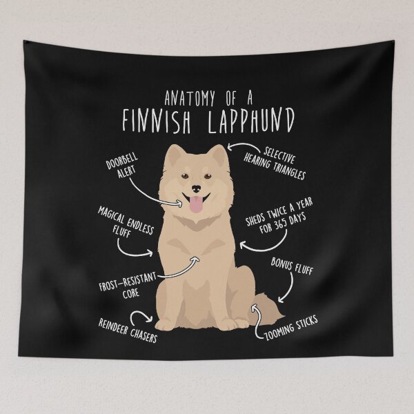Item preview, Cream Finnish Lapphund Dog Anatomy designed and sold by Clara Hollins.