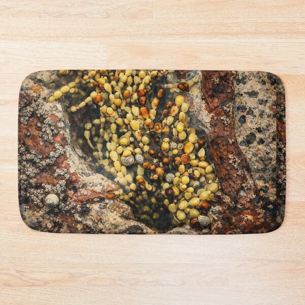 Item preview, Tidepool Mosaic: Shells and Seaweed. designed and sold by druidwolfart.