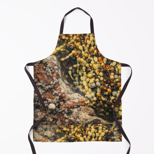 Item preview, Tidepool Mosaic: Shells and Seaweed. designed and sold by druidwolfart.