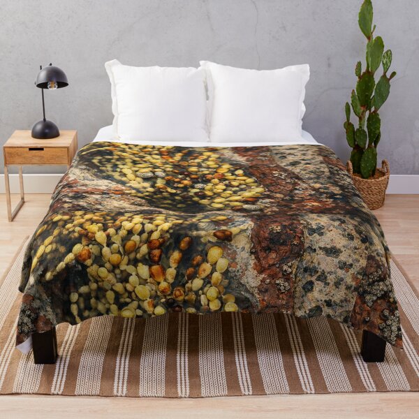Item preview, Tidepool Mosaic: Shells and Seaweed. designed and sold by druidwolfart.