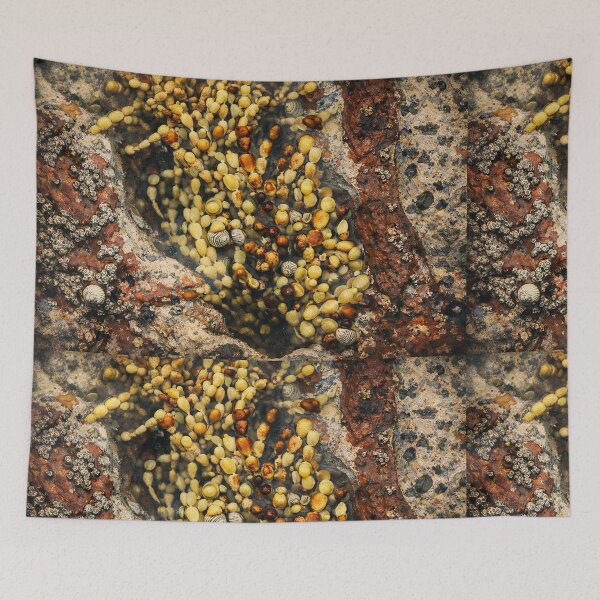 Item preview, Tidepool Mosaic: Shells and Seaweed. designed and sold by druidwolfart.