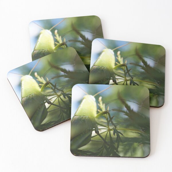 Item preview, Grasshopper designed and sold by trinest.