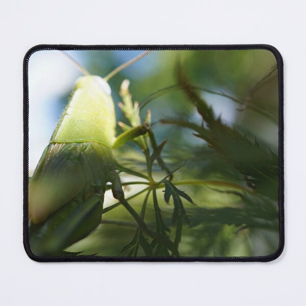 Item preview, Grasshopper designed and sold by trinest.