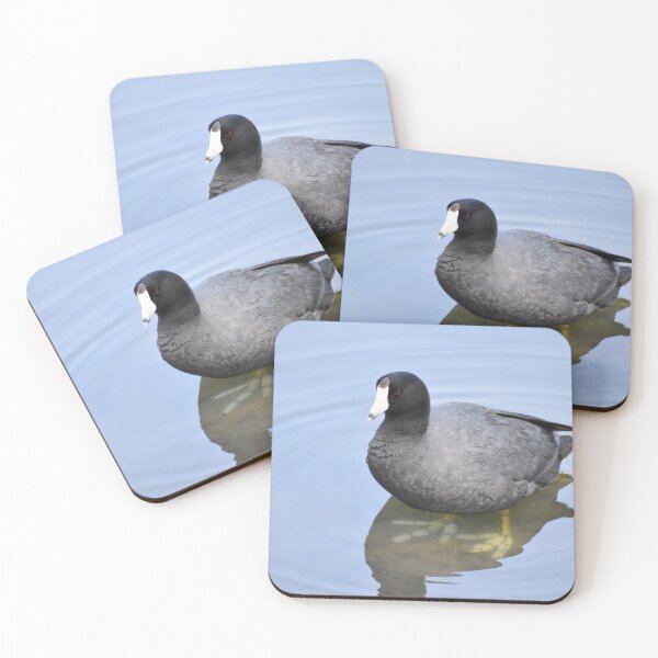 Item preview, American Coot Standing designed and sold by asv27art.