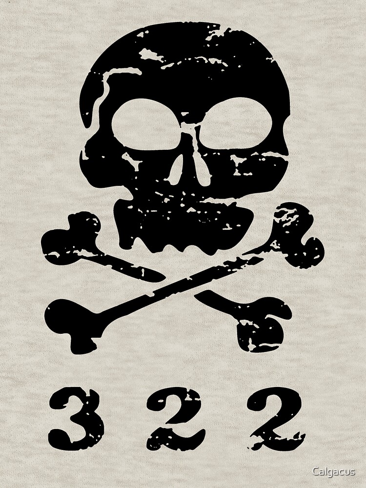 download 322 skull