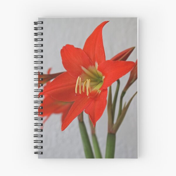 Item preview, Free-spirited designed and sold by Michiale.