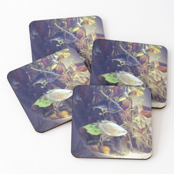 Item preview, Elegant Gourami Aquatic Beauty designed and sold by Danielaadvant.