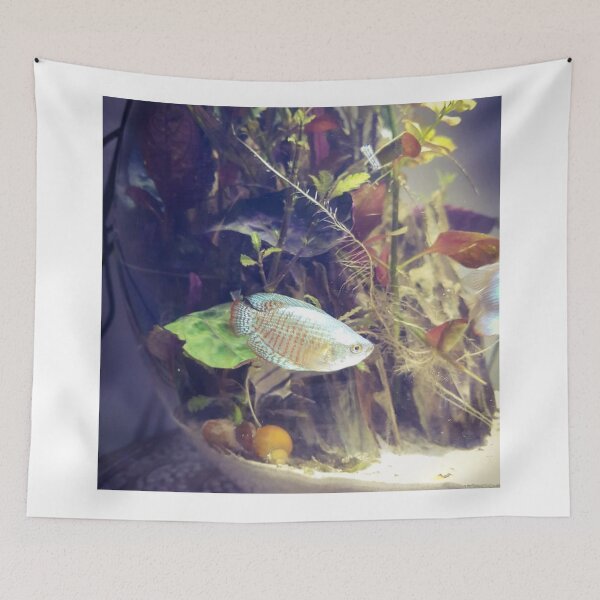 Item preview, Elegant Gourami Aquatic Beauty designed and sold by Danielaadvant.