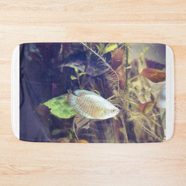 Item preview, Elegant Gourami Aquatic Beauty designed and sold by Danielaadvant.