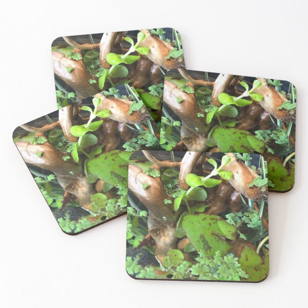 Item preview, Gourami Serenity in Motion designed and sold by Danielaadvant.