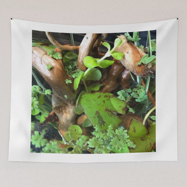 Item preview, Gourami Serenity in Motion designed and sold by Danielaadvant.
