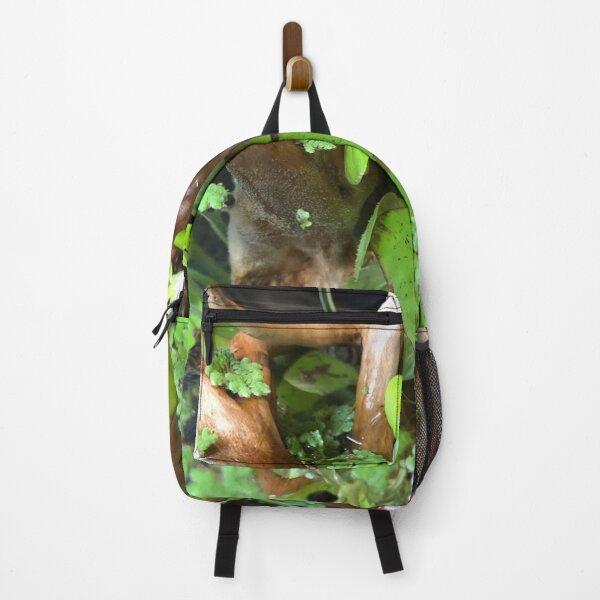 Item preview, Gourami Serenity in Motion designed and sold by Danielaadvant.