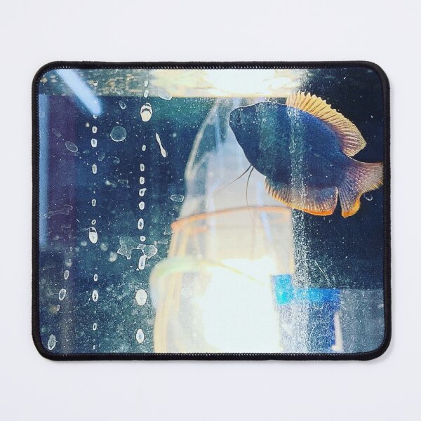 Item preview, Vibrant Gourami Underwater Display designed and sold by Danielaadvant.