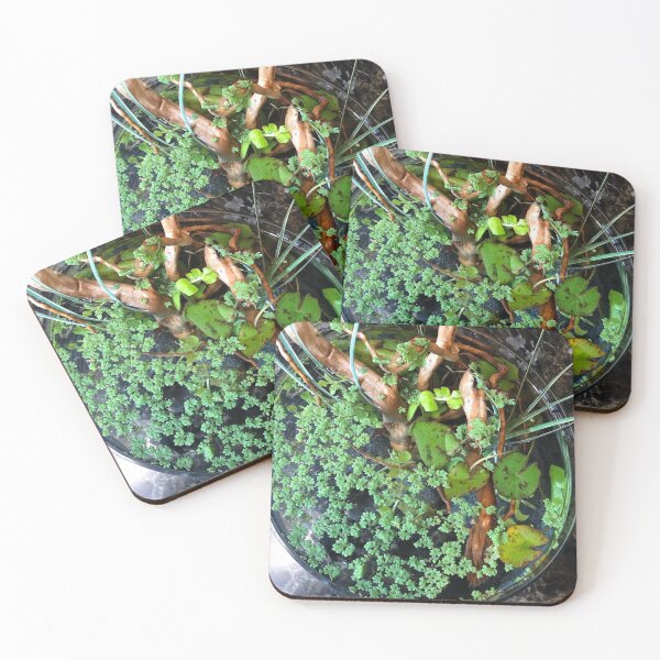 Item preview, Majestic Gourami in Reflection designed and sold by Danielaadvant.