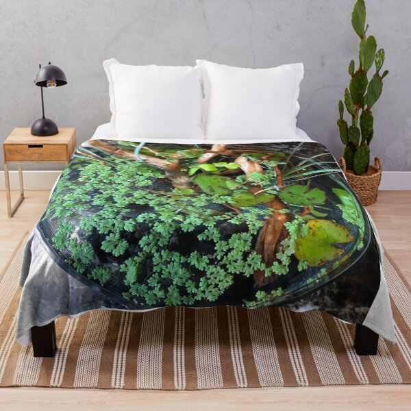 Item preview, Majestic Gourami in Reflection designed and sold by Danielaadvant.