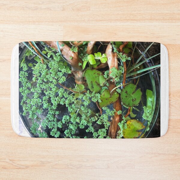 Item preview, Majestic Gourami in Reflection designed and sold by Danielaadvant.