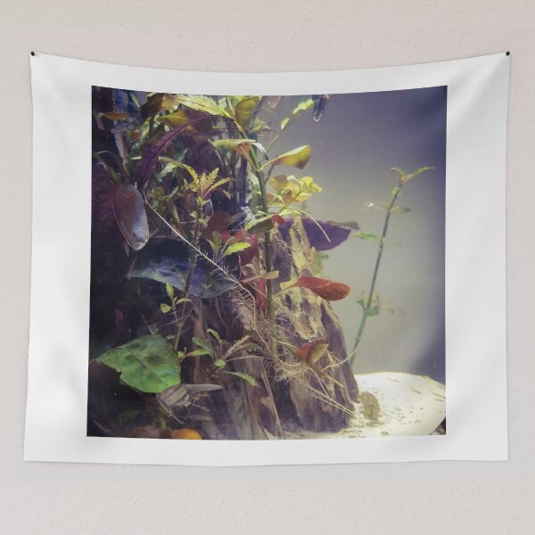 Item preview, Gourami Swimming Through Coral designed and sold by Danielaadvant.